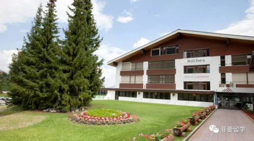 05.jpg